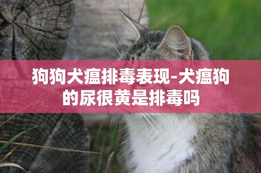 狗狗犬瘟排毒表現-犬瘟狗的尿很黃是排毒嗎