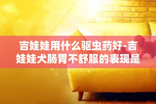 吉娃娃用什么驅蟲藥好-吉娃娃犬腸胃不舒服的表現是什么