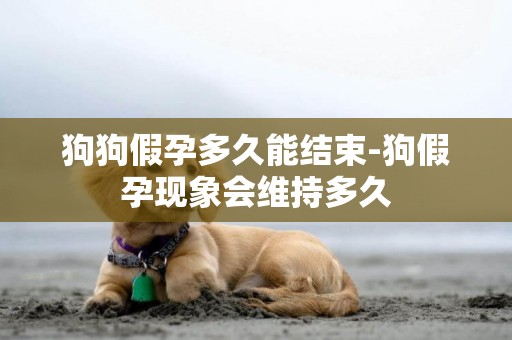 狗狗假孕多久能結束-狗假孕現象會維持多久