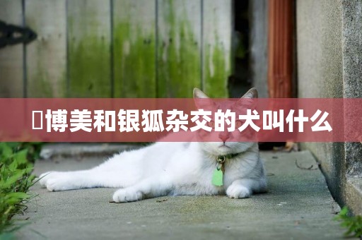 ?博美和銀狐雜交的犬叫什么