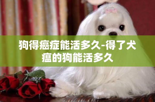 狗得癌癥能活多久-得了犬瘟的狗能活多久