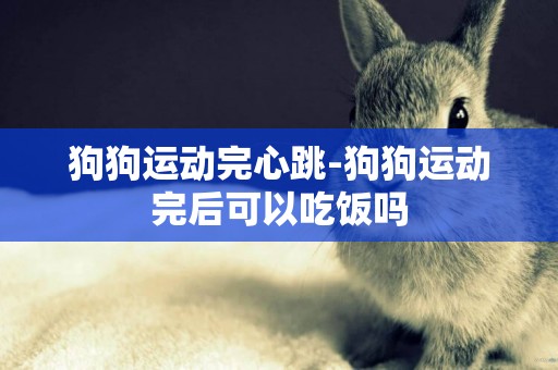狗狗運動完心跳-狗狗運動完后可以吃飯嗎