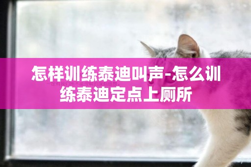 怎樣訓練泰迪叫聲-怎么訓練泰迪定點上廁所