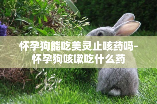 懷孕狗能吃美靈止咳藥嗎-懷孕狗咳嗽吃什么藥