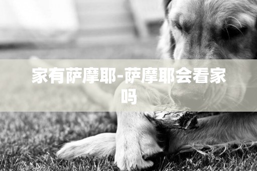 家有薩摩耶-薩摩耶會看家嗎