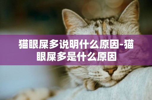 貓眼屎多說明什么原因-貓眼屎多是什么原因