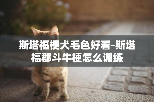 斯塔福梗犬毛色好看-斯塔福郡斗牛梗怎么訓練