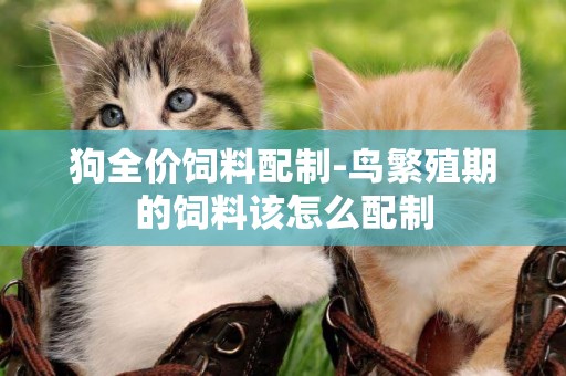 狗全價飼料配制-鳥繁殖期的飼料該怎么配制