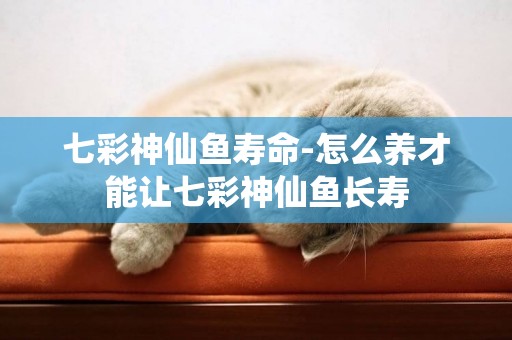 七彩神仙魚壽命-怎么養才能讓七彩神仙魚長壽