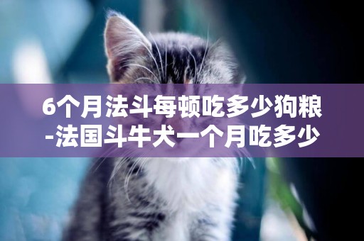 6個月法斗每頓吃多少狗糧-法國斗牛犬一個月吃多少狗糧