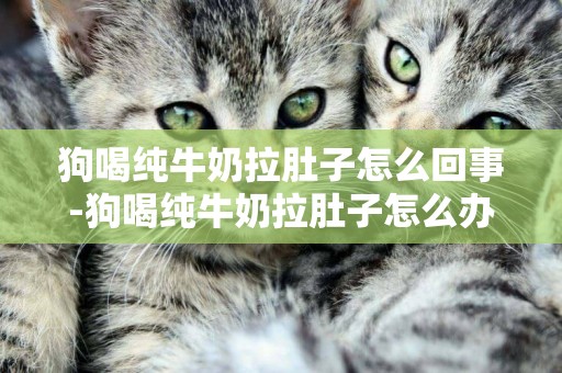 狗喝純牛奶拉肚子怎么回事-狗喝純牛奶拉肚子怎么辦