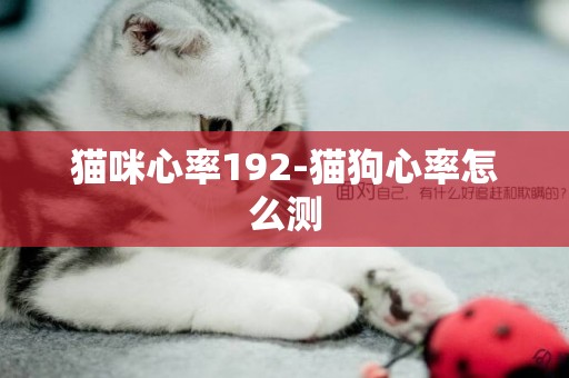 貓咪心率192-貓狗心率怎么測