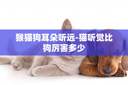 猴貓狗耳朵聽遠-貓聽覺比狗厲害多少