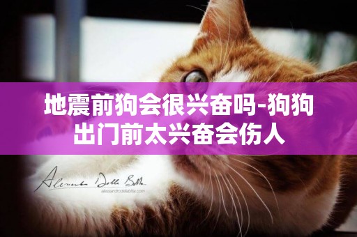 地震前狗會很興奮嗎-狗狗出門前太興奮會傷人