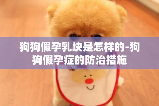 狗狗假孕乳塊是怎樣的-狗狗假孕癥的防治措施