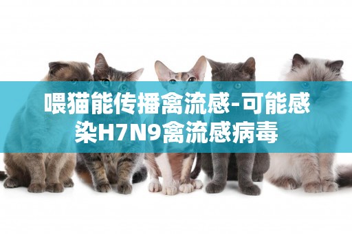 喂貓能傳播禽流感-可能感染H7N9禽流感病毒