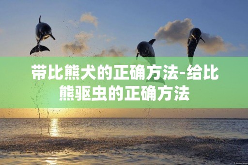 帶比熊犬的正確方法-給比熊驅蟲的正確方法