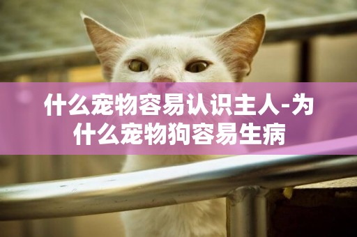 什么寵物容易認識主人-為什么寵物狗容易生病