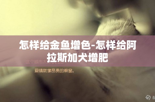 怎樣給金魚增色-怎樣給阿拉斯加犬增肥