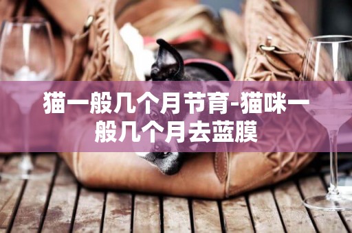 貓一般幾個月節育-貓咪一般幾個月去藍膜