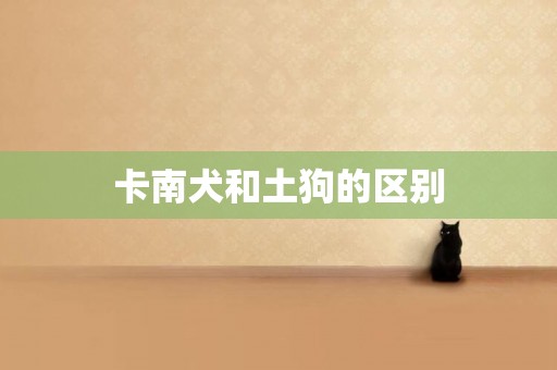 卡南犬和土狗的區別
