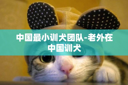 中國最小訓犬團隊-老外在中國訓犬