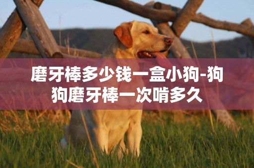 磨牙棒多少錢一盒小狗-狗狗磨牙棒一次啃多久