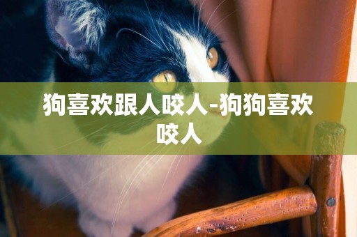 狗喜歡跟人咬人-狗狗喜歡咬人