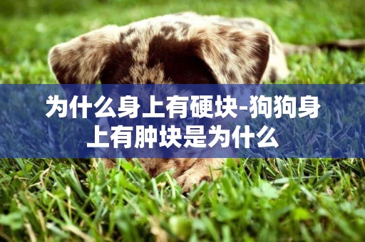 為什么身上有硬塊-狗狗身上有腫塊是為什么