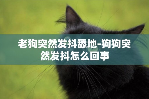 老狗突然發抖舔地-狗狗突然發抖怎么回事