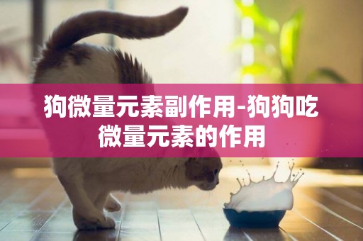 狗微量元素副作用-狗狗吃微量元素的作用