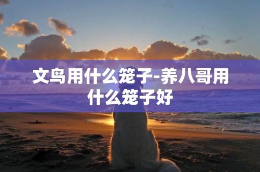 文鳥用什么籠子-養八哥用什么籠子好