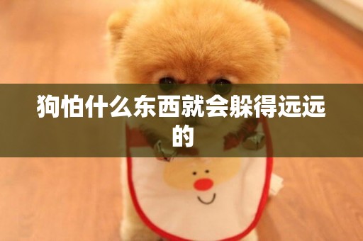 狗怕什么東西就會躲得遠遠的