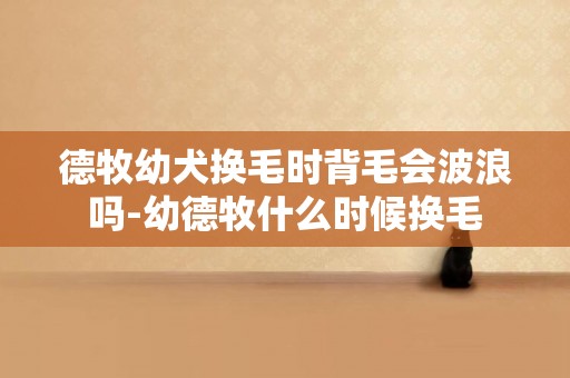 德牧幼犬換毛時背毛會波浪嗎-幼德牧什么時候換毛