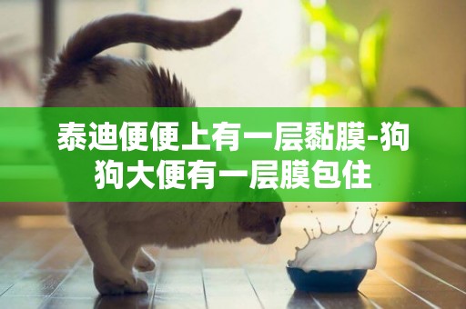 泰迪便便上有一層黏膜-狗狗大便有一層膜包住