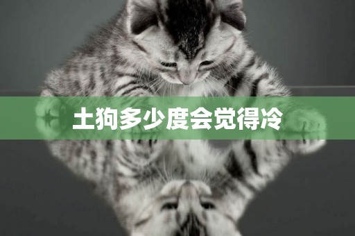 土狗多少度會覺得冷