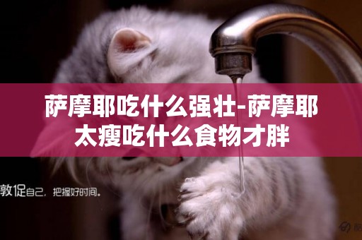 薩摩耶吃什么強壯-薩摩耶太瘦吃什么食物才胖