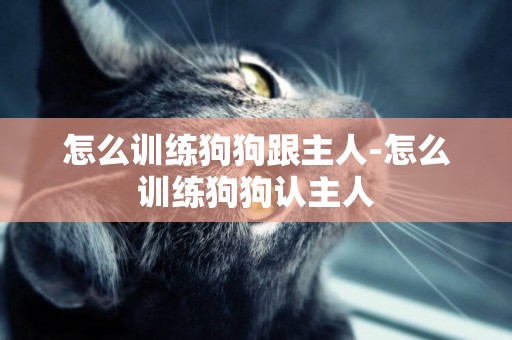 怎么訓練狗狗跟主人-怎么訓練狗狗認主人