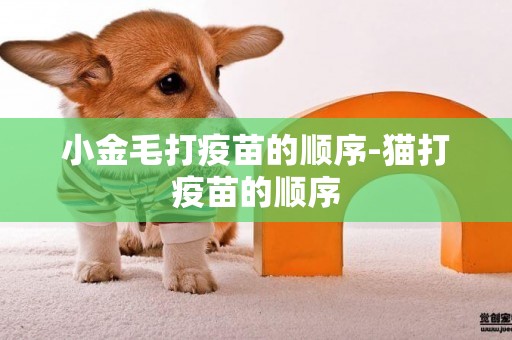 小金毛打疫苗的順序-貓打疫苗的順序