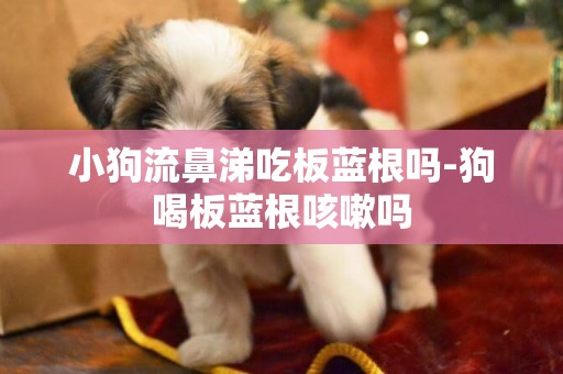 小狗流鼻涕吃板藍根嗎-狗喝板藍根咳嗽嗎