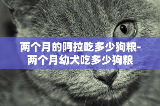 兩個月的阿拉吃多少狗糧-兩個月幼犬吃多少狗糧