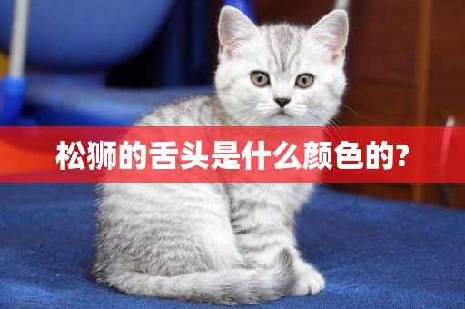 松獅的舌頭是什么顏色的?
