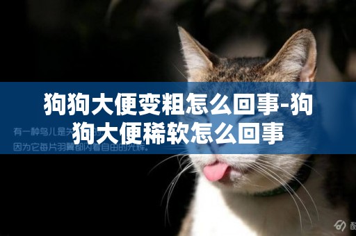 狗狗大便變粗怎么回事-狗狗大便稀軟怎么回事