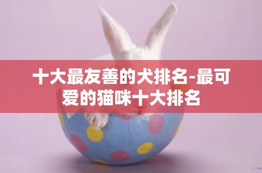 十大最友善的犬排名-最可愛的貓咪十大排名
