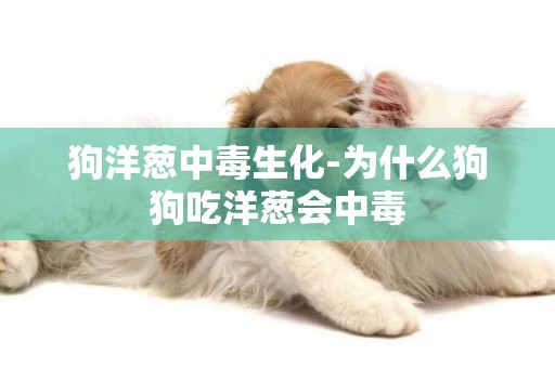 狗洋蔥中毒生化-為什么狗狗吃洋蔥會中毒