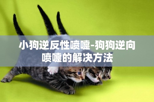 小狗逆反性噴嚏-狗狗逆向噴嚏的解決方法
