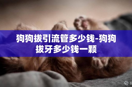 狗狗拔引流管多少錢-狗狗拔牙多少錢一顆