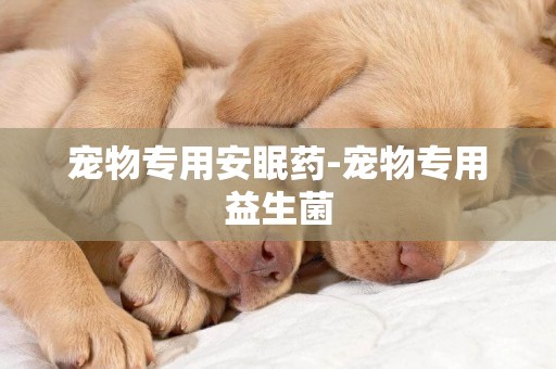 寵物專用安眠藥-寵物專用益生菌
