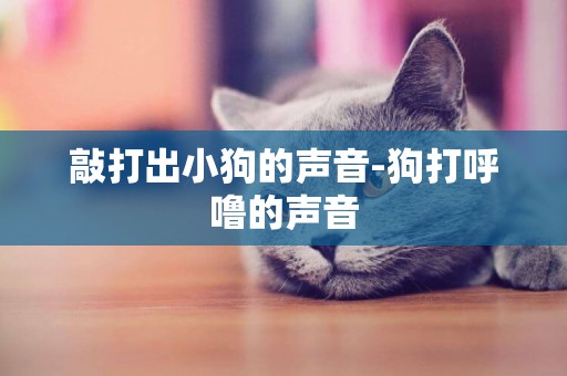 敲打出小狗的聲音-狗打呼嚕的聲音