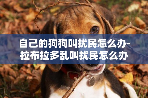 自己的狗狗叫擾民怎么辦-拉布拉多亂叫擾民怎么辦